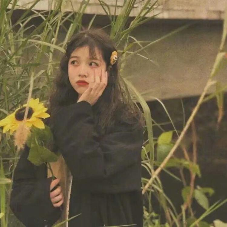 松见真一 - 独播剧场VIP在线观看 - APP看视频